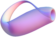 220px-Klein_bottle_translucent